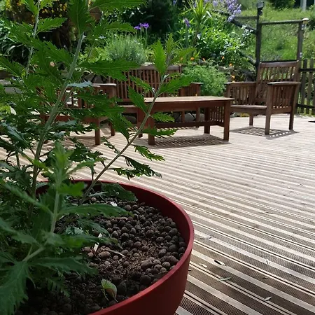 Le De Valentine & Laurent Alpstuga Olmiccia