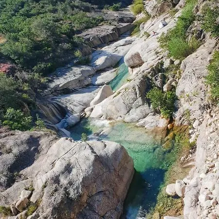 Le De Valentine & Laurent Olmiccia
