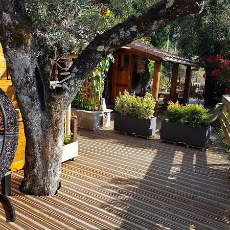 Alpstuga Le De Valentine & Laurent *