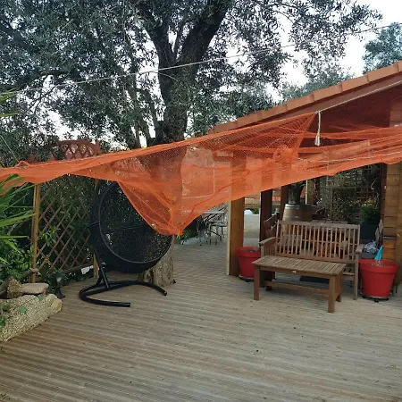 Le De Valentine & Laurent * Olmiccia