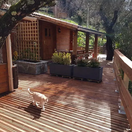 Le De Valentine & Laurent Olmiccia