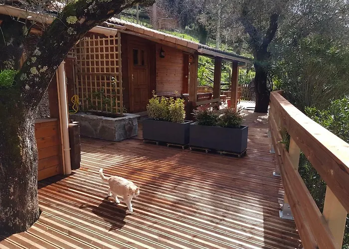 Le De Valentine & Laurent Olmiccia