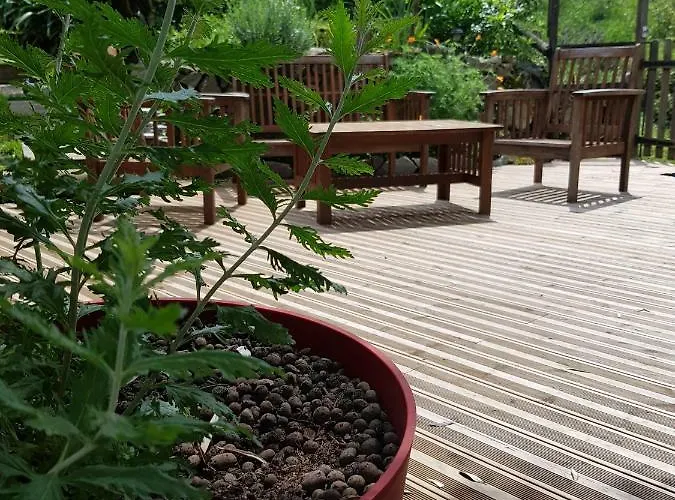 Le De Valentine & Laurent Chalet Olmiccia