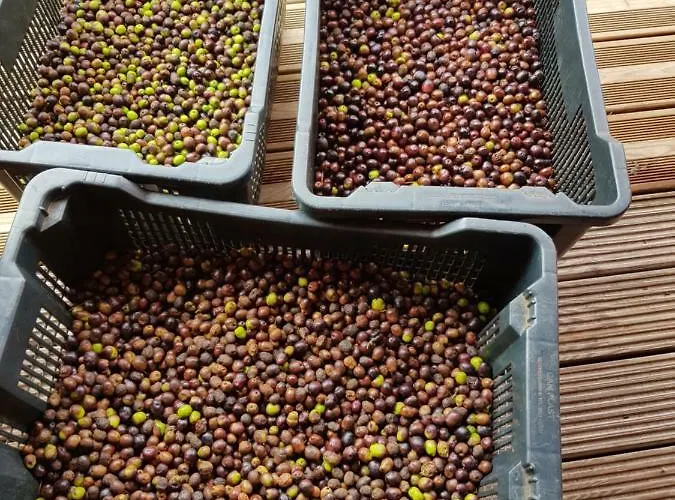 Chalet Le De Valentine & Laurent