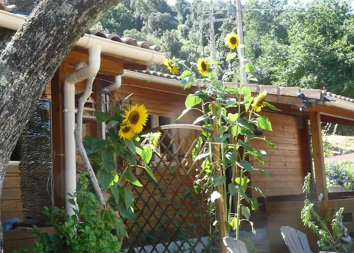 Le De Valentine & Laurent Chalet