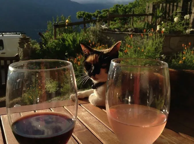 Le De Valentine & Laurent Chalet Olmiccia