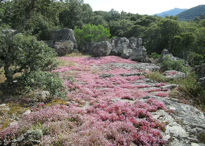Le De Valentine & Laurent Olmiccia