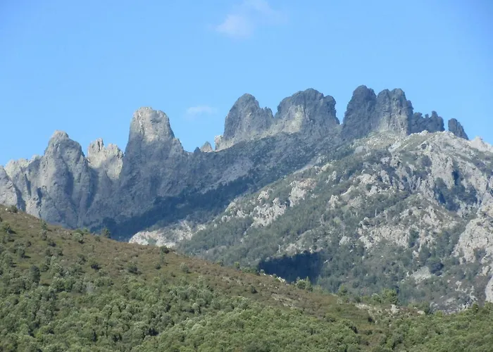 Le De Valentine & Laurent Chalet *